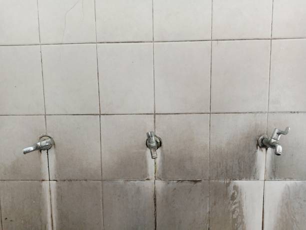 Best Water damage mitigation services  in Denison, TX